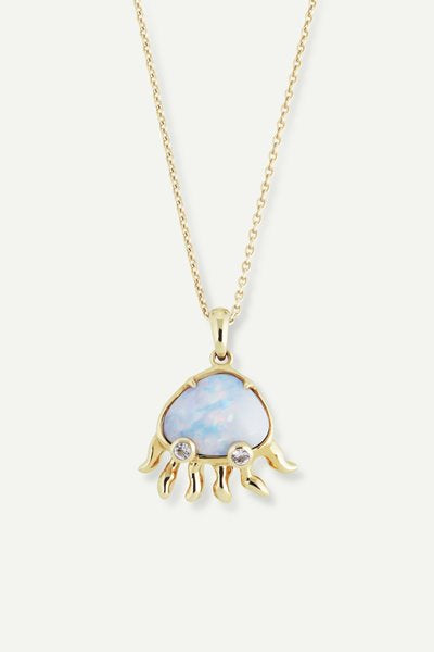 Jellyfish